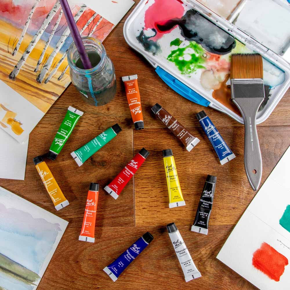 Watercolour Paints Signature 12pc x 12ml (0.41 US fl.oz)