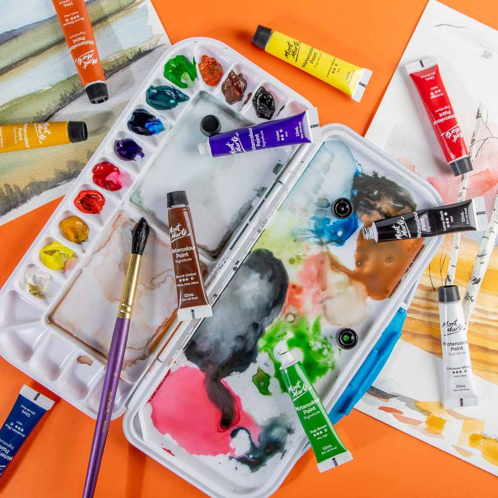 Watercolour Paints Signature 12pc x 12ml (0.41 US fl.oz)