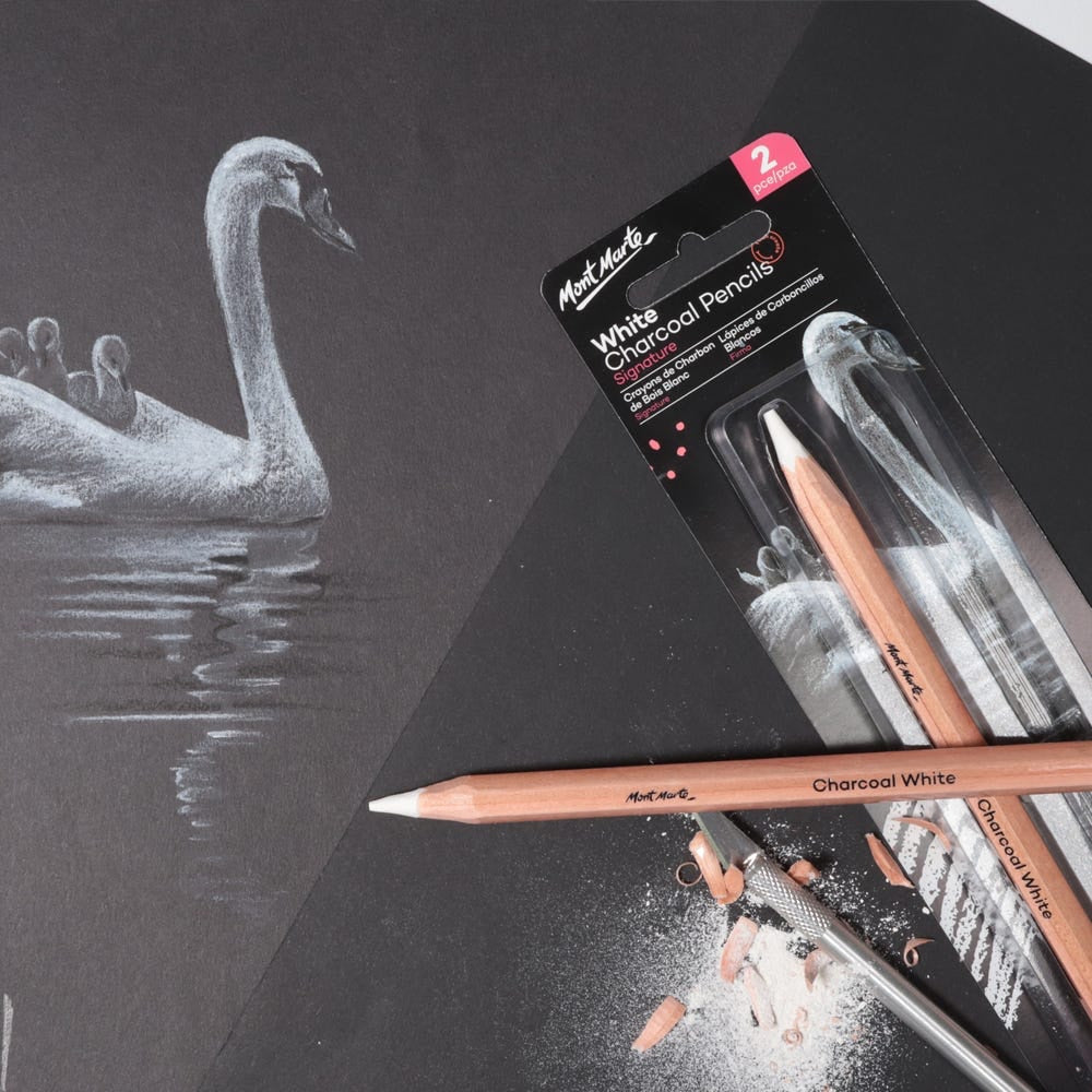 White Charcoal Pencils Lge Hex Signature 2pc