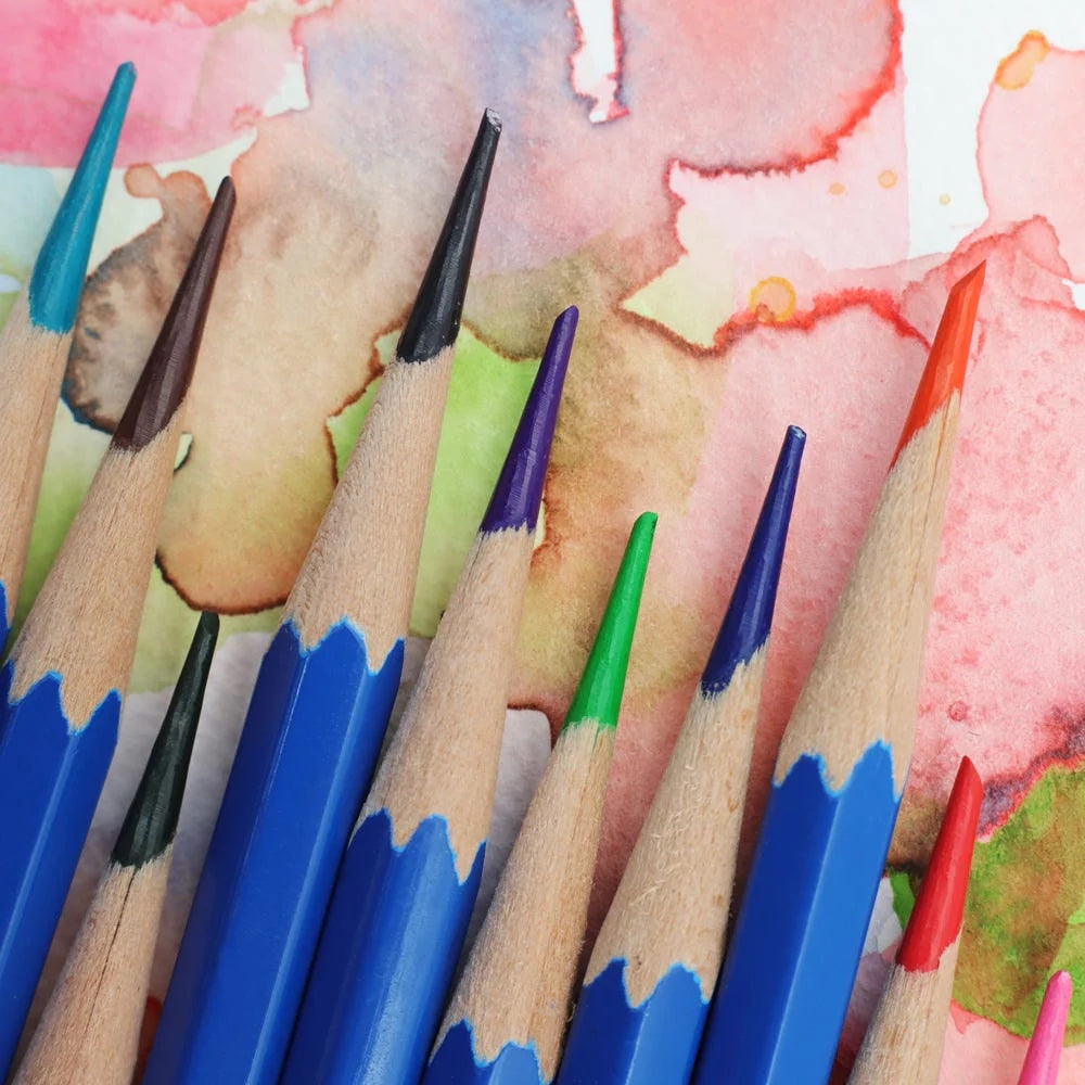 Watercolour Pencils Signature 12pc