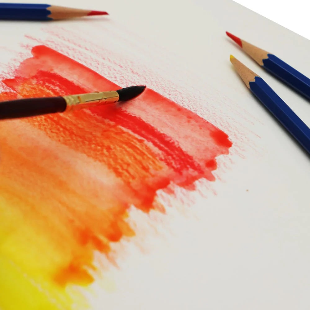 Watercolour Pencils Signature 12pc