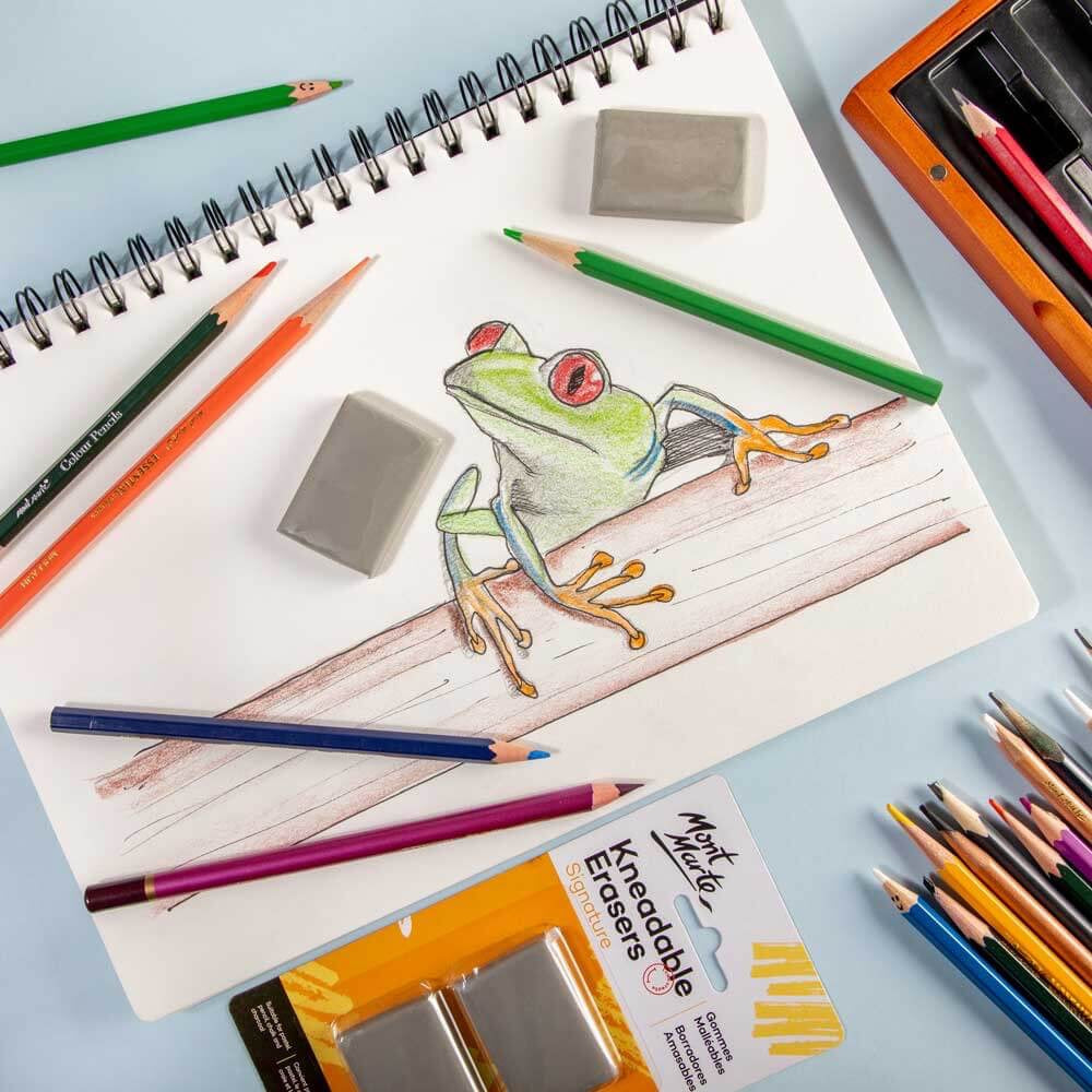 Kneadable Erasers Signature 2pc