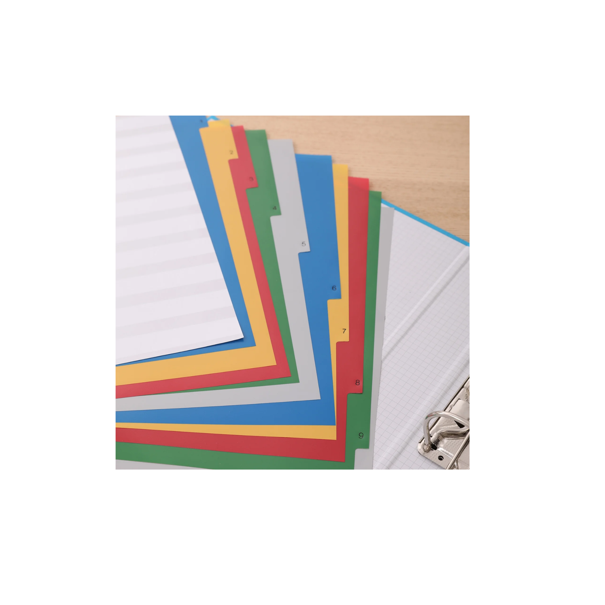 DELI A4 PP Plastic Divider with 1–10 Multicolor Tabs – File and Binder Index Organizer in Qatar