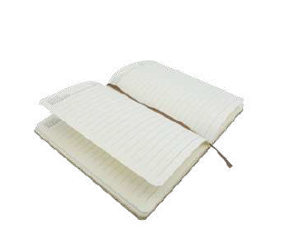 Aquaro -11465 | Cork Notebook