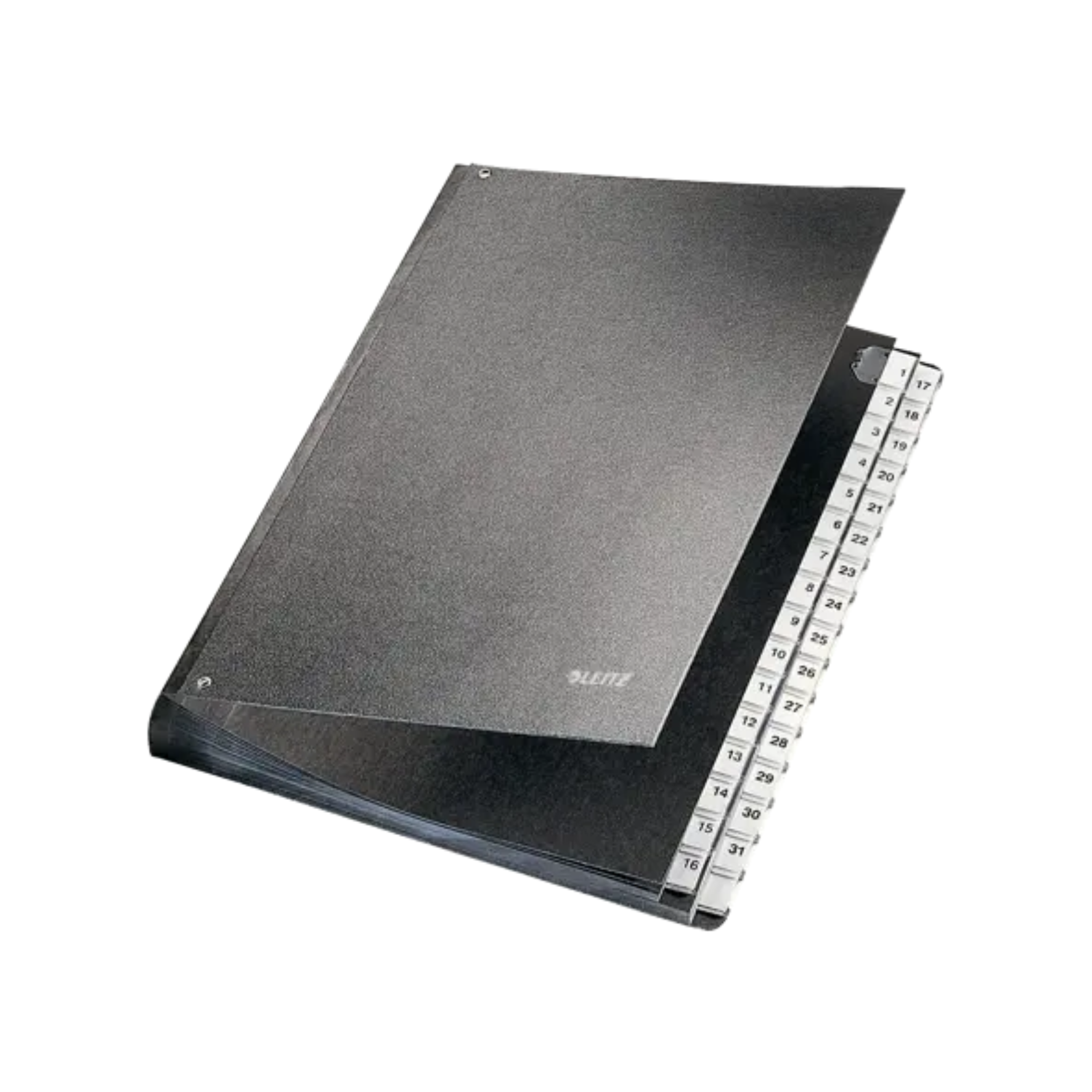 "Leitz A4 signature book with 1–31 compartments for daily filing in Qatar