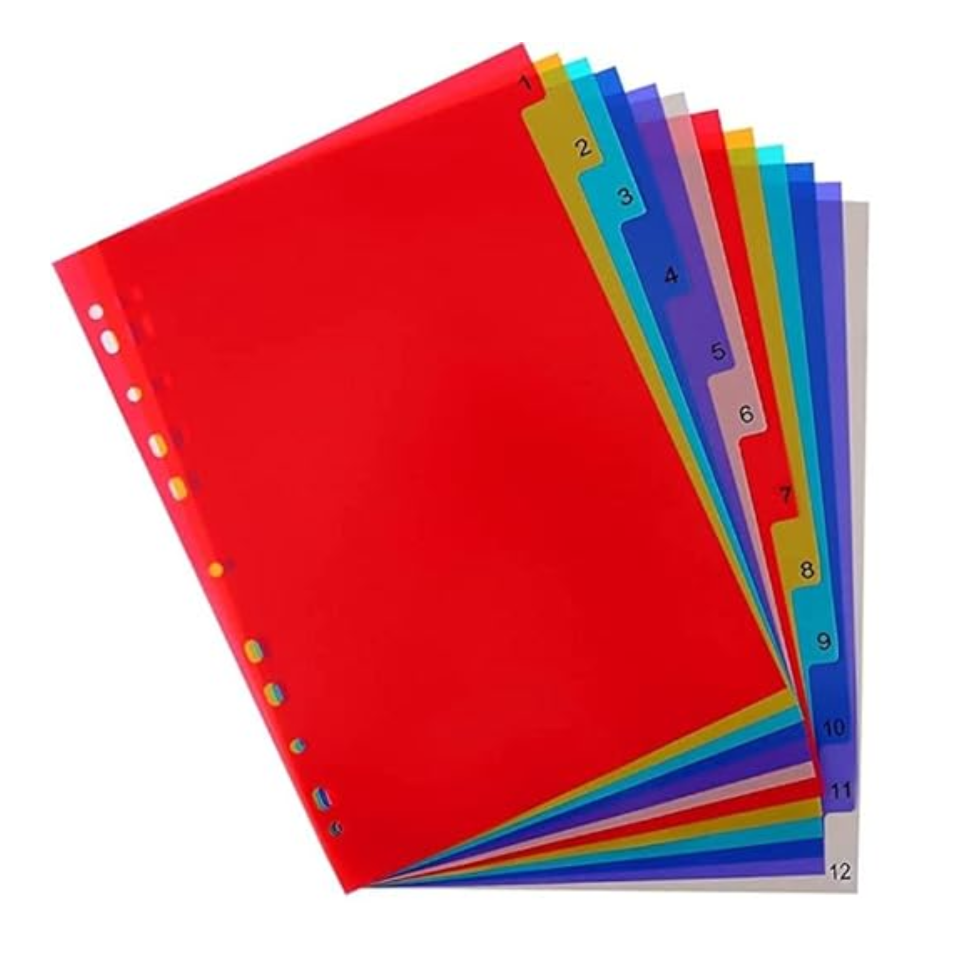 Durable numbered index dividers 1–12 available at best price in Qatar
