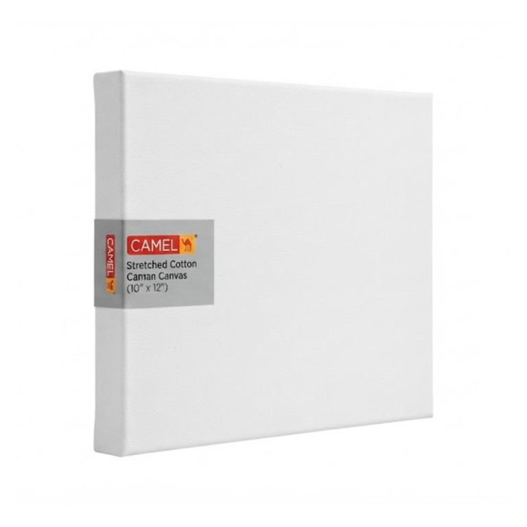Camel Str Canvas 25X30CM 2205110 10"X12"