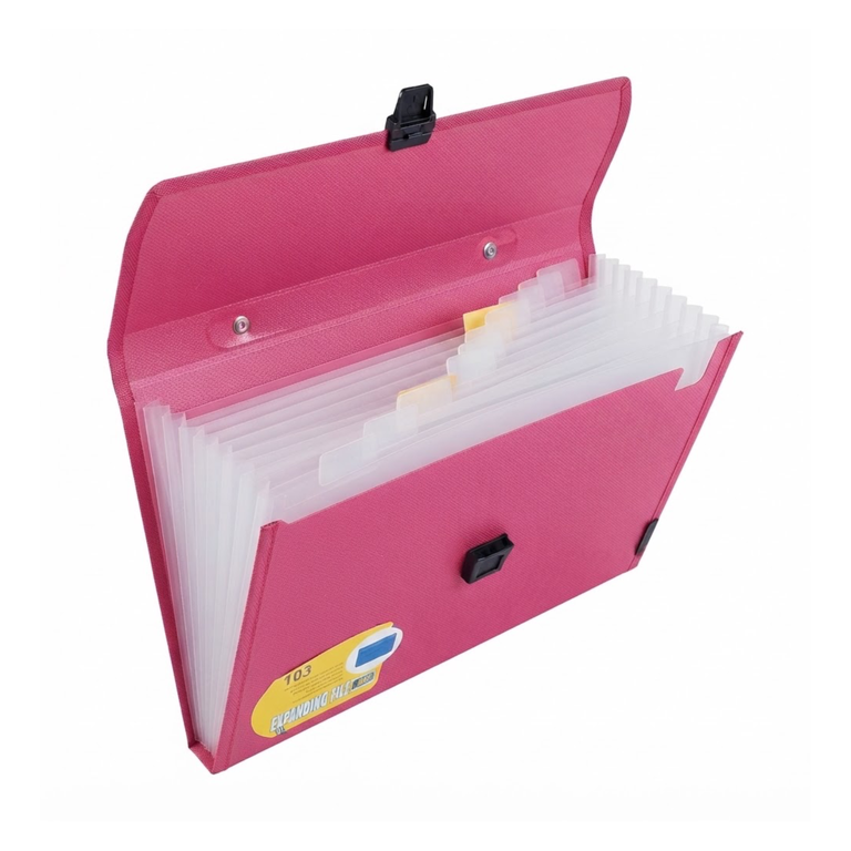 Foldermate Expanding File 13 Poket A4 FE-103